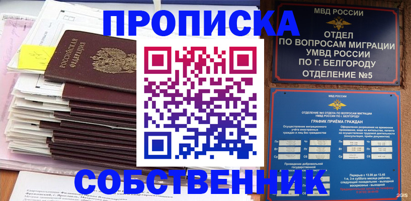 прописка законно в Санкт-Петербурге